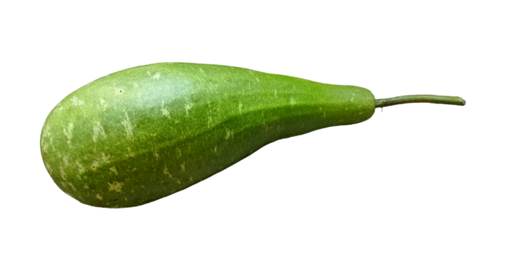 closeup of a calabash or bottle gourd isolated on a transparent background