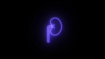 Neon kidney icon. Urinary system part symbol. neon line isolated human kidney icon on black background.