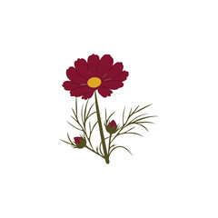 vector flower
