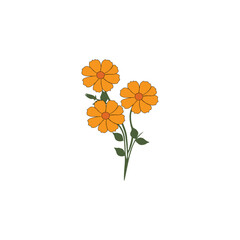 vector flower