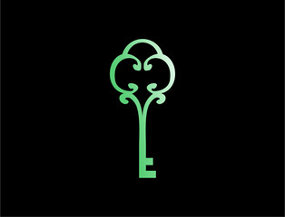 Ornate key illustration