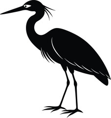 Obraz premium heron on the shore