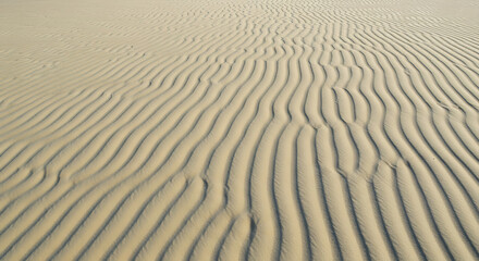 Fototapeta premium Aerial view of sand dunes with rippled patterns in a desert landscape Close-up of a Sandy Desert Landscape with Wind-Created Ripples