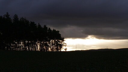 Dramatic silhouette of forest against dark moody sky at sunset, contrast of natural elements, landscape photography capturing serene twilight atmosphere with trees lining the horizon