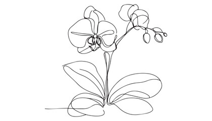Continuous one single minimal line drawing Orchid flower