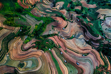 Mu Cang Chai terraced fields 