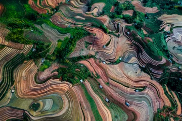 Fototapeten Reisfelder Mu Cang Chai terraced fields   © Thanh