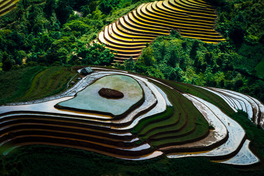 Mu Cang Chai terraced fields 