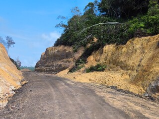 landslide on the forest road