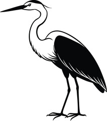Egret Silhouette Line Art Vector Illustration On White Background