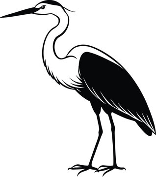 Egret Silhouette Line Art Vector Illustration On White Background