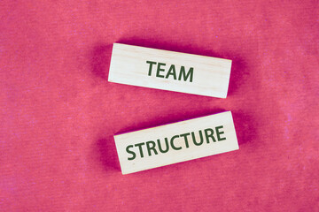 The TEAM STRUCTURE concept phrase. Onboarding business process concept