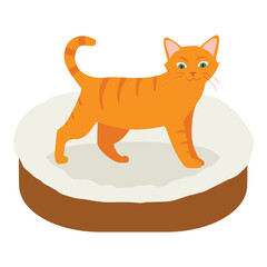 Ginger cat in his soft cozy bed cushion