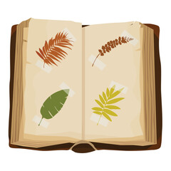 Open book with dried flowers and leaves, herbarium
