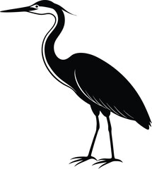 great blue heron ardea cinerea