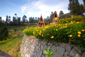 Wooden A-frame cabins situated on a vibrant flower-decorated terrace surrounded by hills under a clear blue sky, evoking tranquility, nature, and a rustic escape from urban life.