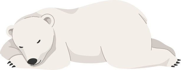 Sleeping Polar Bear

