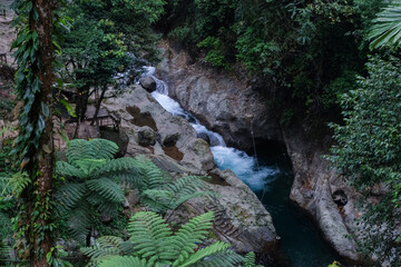 Serene Waterfall in Lush Green Gorge