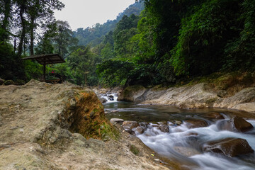 Serene River Flowing Through Lush Green Forest