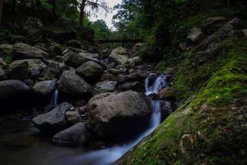 Serene Forest Waterfall and Wooden Bridge