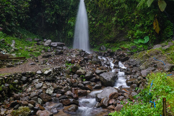Serene Waterfall in Lush Greenery