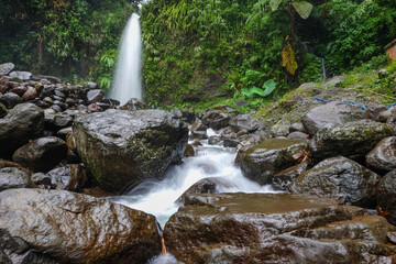 Serene Waterfall in Lush Forest