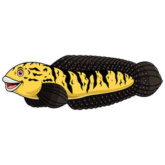 Cartoon channa marulioides snakehead on white background