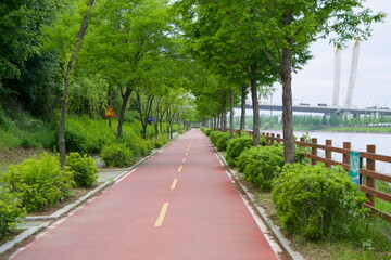 Tree-Lined Bike Path Beside Ara Waterway Near Sicheon Bridge