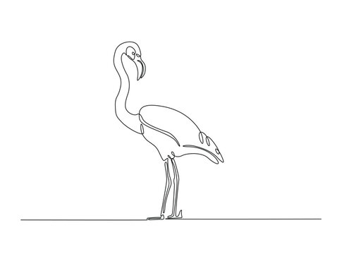 Exotic famingo bird single outline illustration. Continuous line art drawing of flamingo bird for summer concept.
