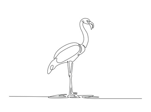 Exotic famingo bird single outline illustration. Continuous line art drawing of flamingo bird for summer concept.