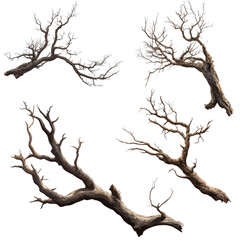 Obraz premium Set of various dead dry tree branch on isolated transparent cutout PNG Background