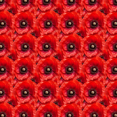 The shows a pattern of red poppy flowers.