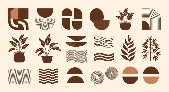 A Collection of Modern Aesthetic Style Decor Elements and Nature Inspired Shapes