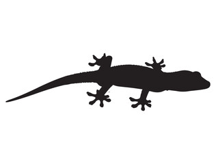 GECKO SILHOUETTE