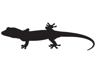 GECKO SILHOUETTE