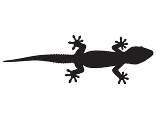 GECKO SILHOUETTE
