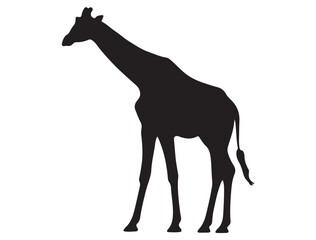 GIRAFFE SILHOUETTE