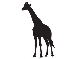 GIRAFFE SILHOUETTE