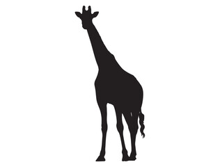 GIRAFFE SILHOUETTE