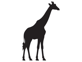 GIRAFFE SILHOUETTE