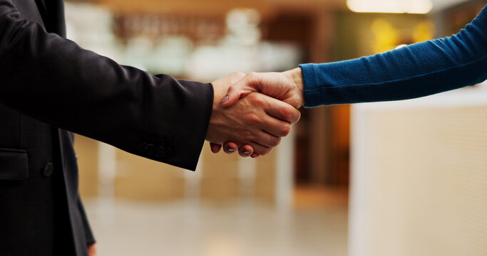 Handshake, offer and business people in office with agreement, welcome or negotiation with finance. Partnership, greeting and financial manager shaking hands with investor for investment deal. - Powered by Adobe