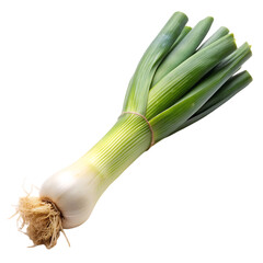 Fresh Leeks: Vibrant Green Vegetable, Culinary Ingredient, Farm-to-Table Produce