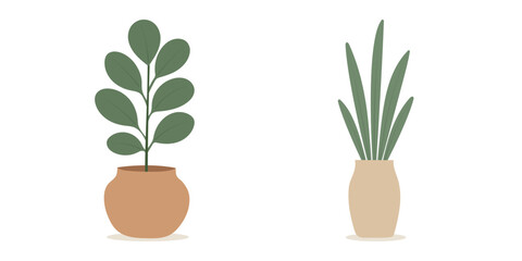 House plants in pots. Element for design house, room or office. Isolated element on white background.