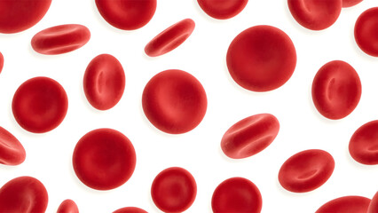 red blood cells on white background