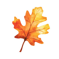 Obraz premium A realistic oak leaf, with brown and orange tones, on a white background, high-resolution photograph, no shadow.