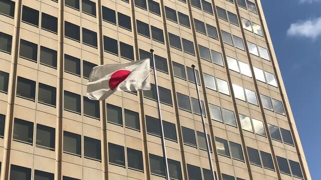 日本、大阪市、大阪府庁舎本館、建造物、日本の国旗、日章旗、日の丸、国旗、大正、近畿、大阪府、青空