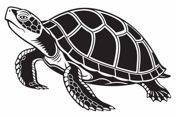 Fototapeta premium box turtle sihouette black vector