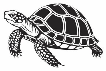 Fototapeta premium box turtle sihouette black vector
