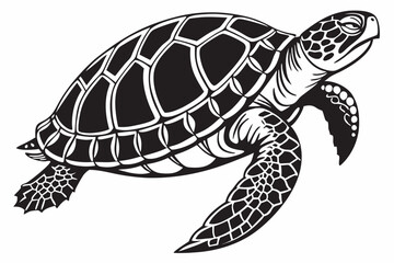 Fototapeta premium box turtle sihouette black vector
