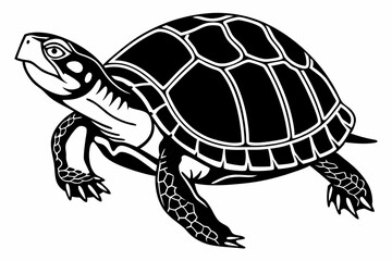 Fototapeta premium box turtle sihouette black vector